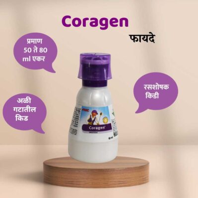 Coragen - Image 2