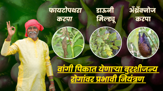 BASF फवारणी