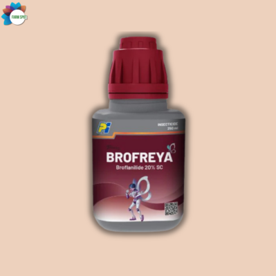 Brofreya - Image 2