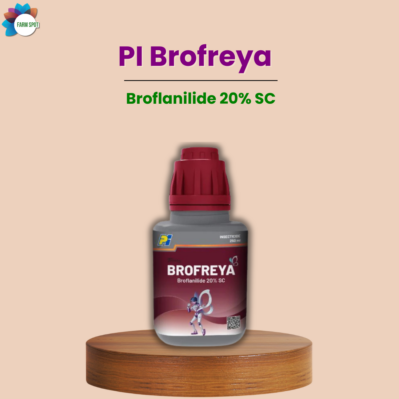 Brofreya