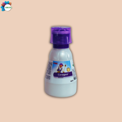 Coragen - Image 3