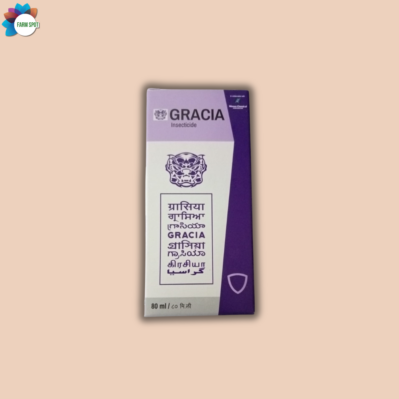 Gracia - Image 2