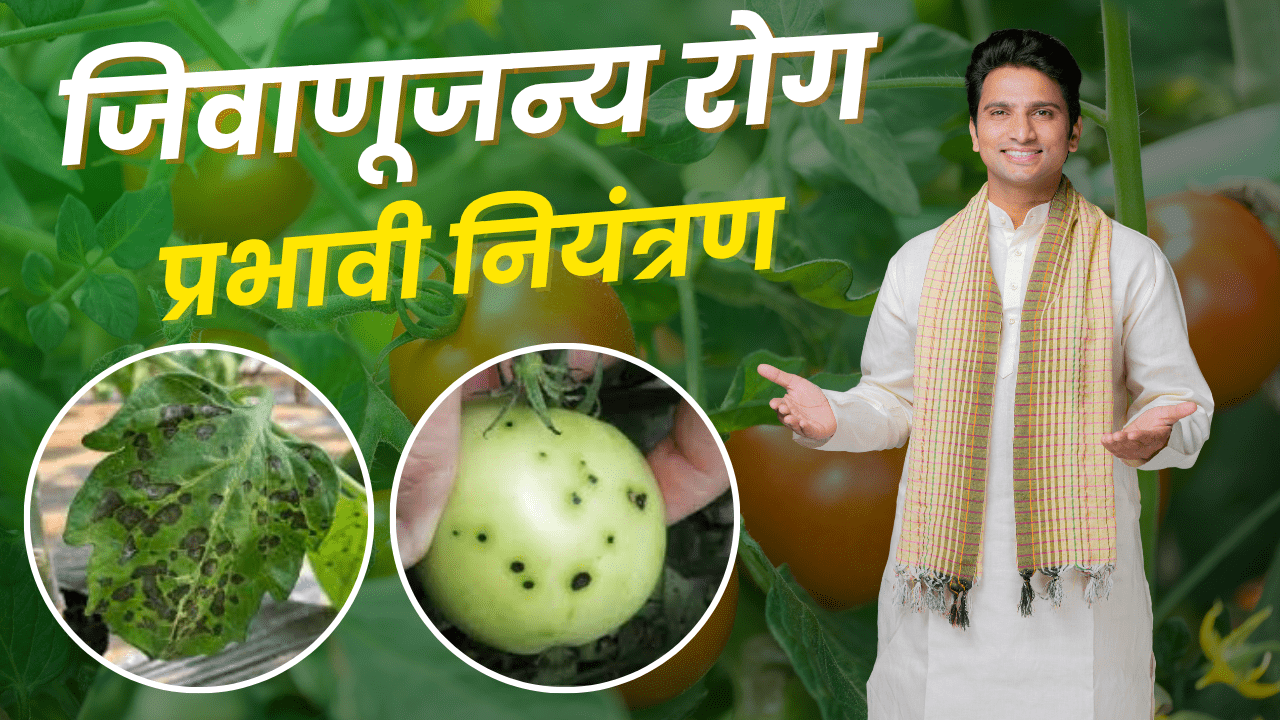 BASF फवारणी