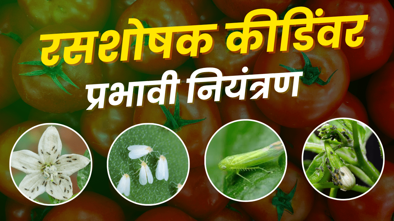 UPL Ulala कीटक नियंत्रण