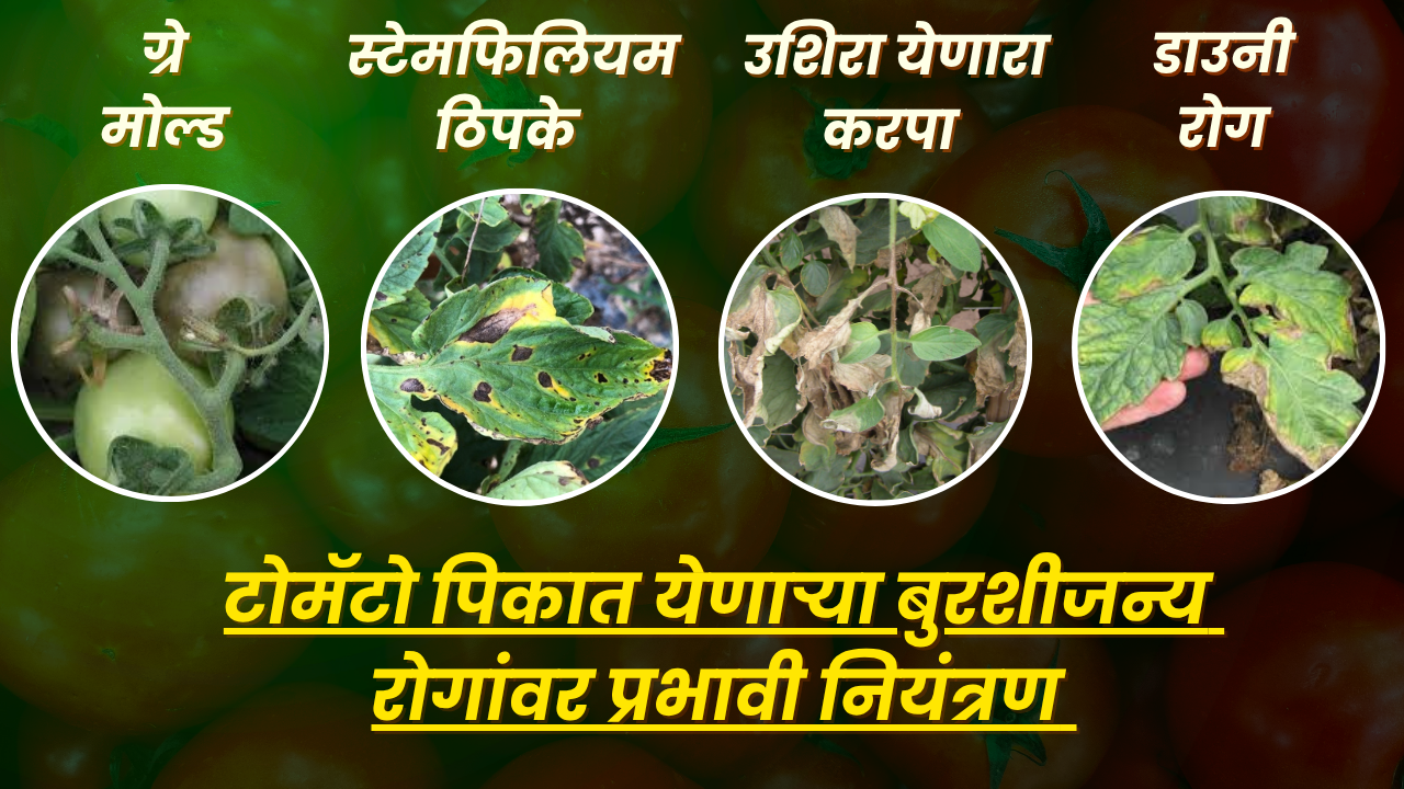 फवारणीचे फायदे