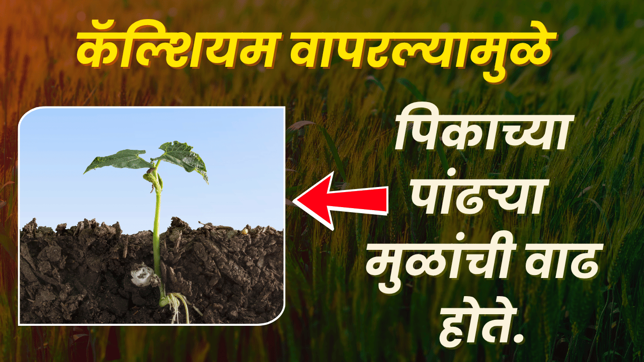 फवारणीचे फायदे