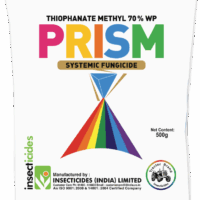 Prism